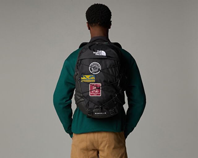 The North Face Vault Everyday Laptop Backpack - PFAS Free, Clay Grey/New Taupe Green, One Size
