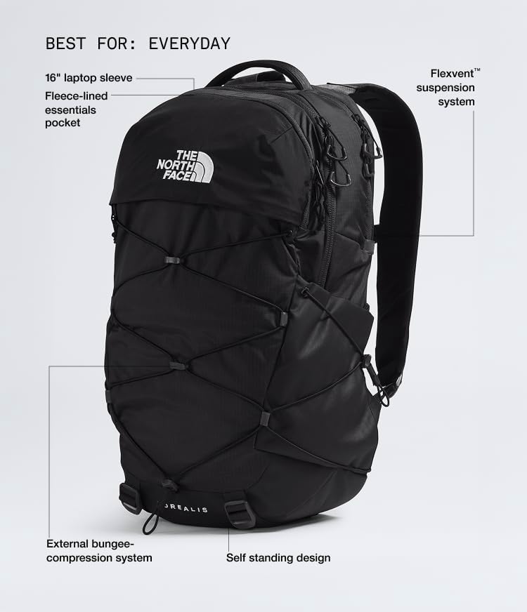 The North Face Vault Everyday Laptop Backpack - PFAS Free, Clay Grey/New Taupe Green, One Size