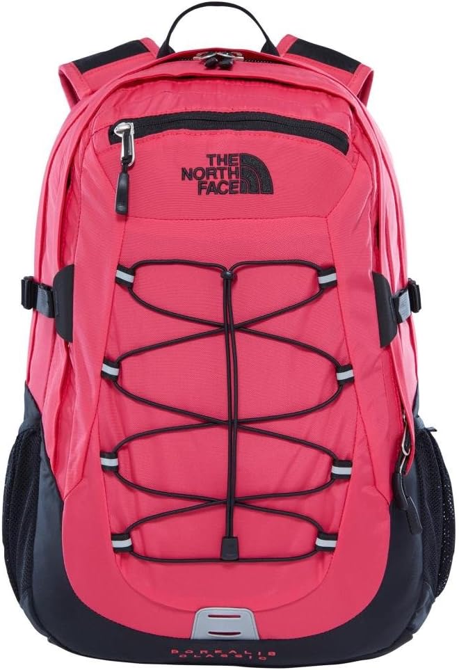 The North Face Vault Everyday Laptop Backpack - PFAS Free, Clay Grey/New Taupe Green, One Size