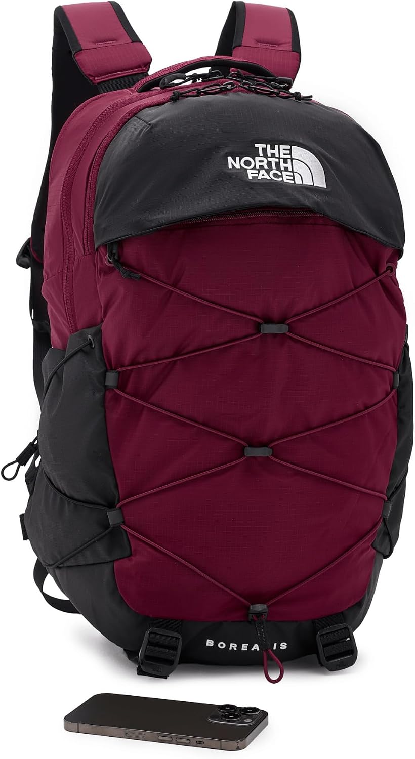The North Face Vault Everyday Laptop Backpack - PFAS Free, Clay Grey/New Taupe Green, One Size