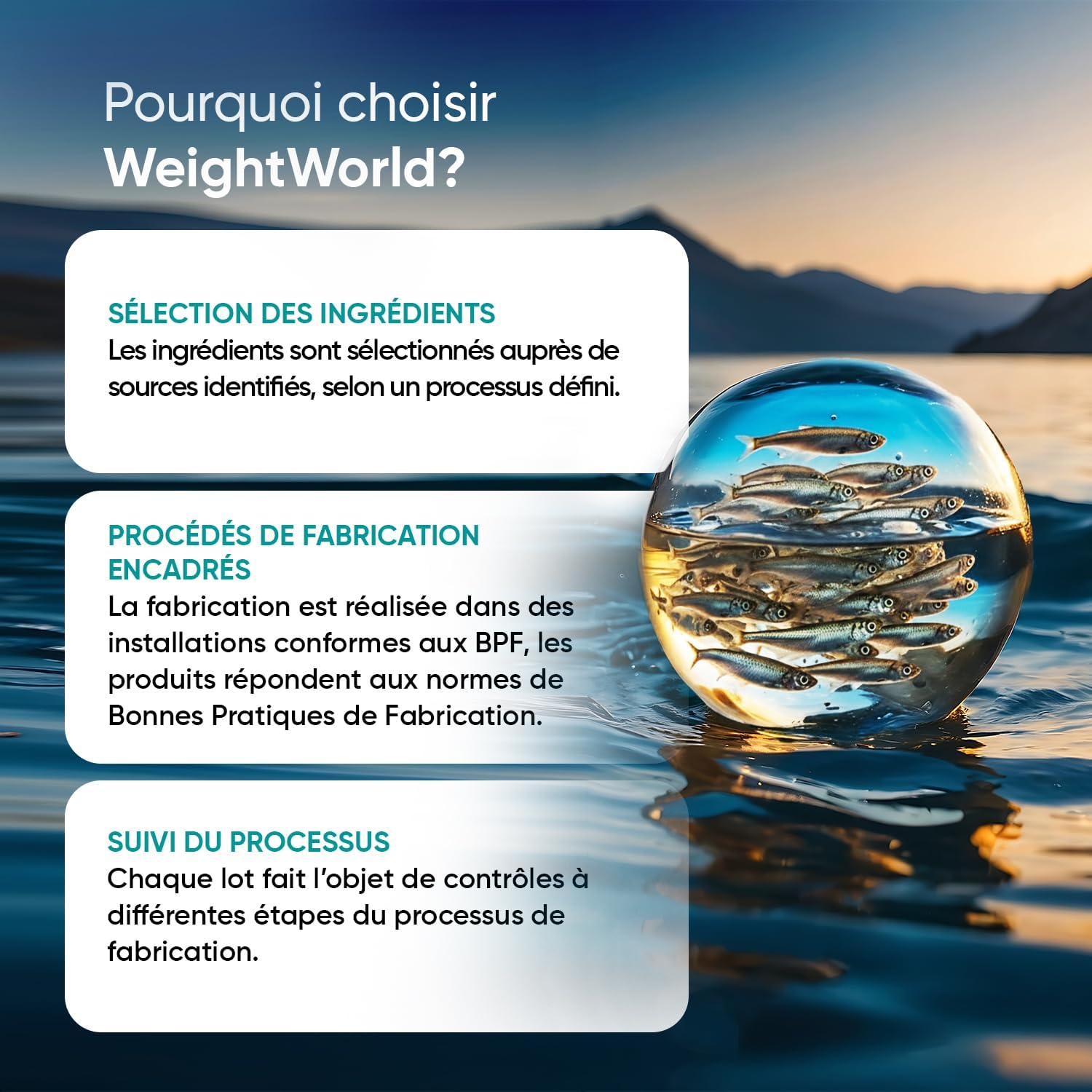 Oméga 3 Huile de Poisson Gélules 2000mg, 240 Gélules Fish Oil Omega 3 | avec EPA 660mg & DHA 440mg, Fish Oil Omega 3 sans Odeur sans OGM sans Gluten et sans Lactose