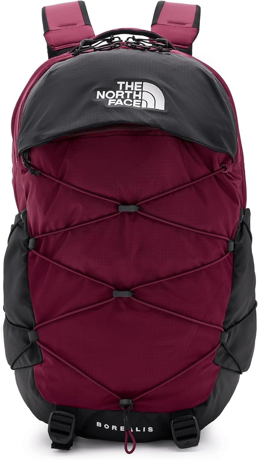 The North Face Vault Everyday Laptop Backpack - PFAS Free, Clay Grey/New Taupe Green, One Size