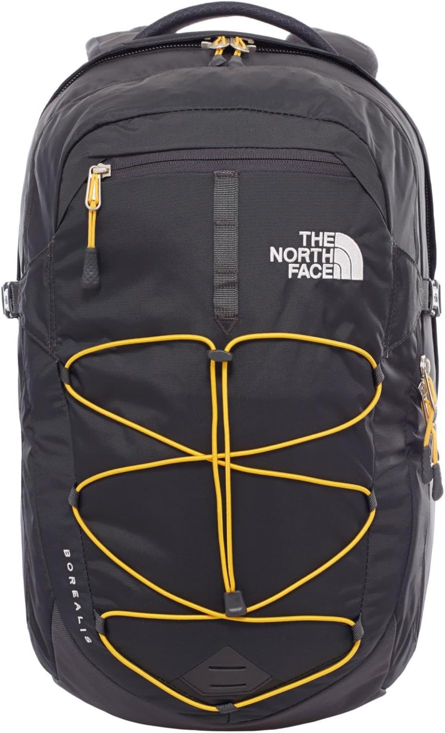 The North Face Vault Everyday Laptop Backpack - PFAS Free, Clay Grey/New Taupe Green, One Size