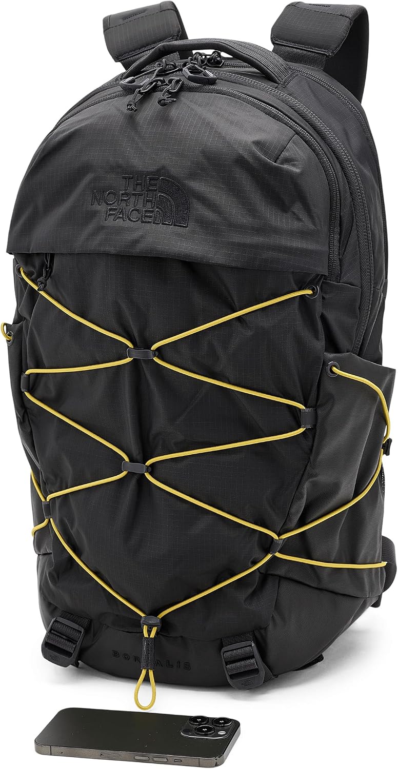 The North Face Vault Everyday Laptop Backpack - PFAS Free, Clay Grey/New Taupe Green, One Size